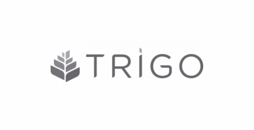 trigo drupo